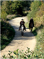 Ballade à cheval dans la campagne avoisinante