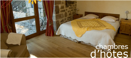 Chambre pittoresque en pierre apparente avec lit double